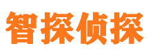 大石桥侦探